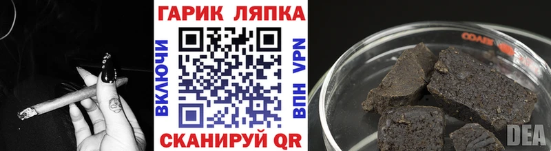мега онион  Судогда  Гашиш Cannabis 
