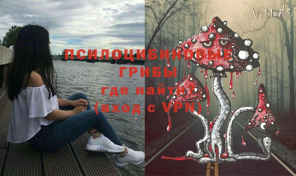 спиды Абаза