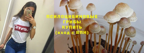 спиды Абаза