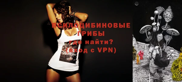 спиды Абаза