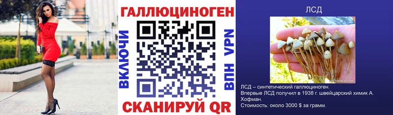 Галлюциногенные грибы мухоморы Судогда